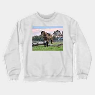 Billie Jean Crewneck Sweatshirt